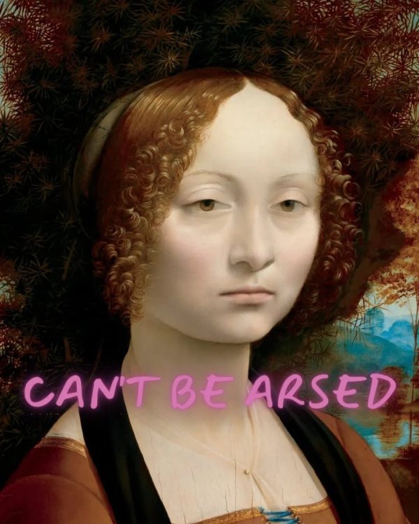 Can't Be Arsed - Image 2